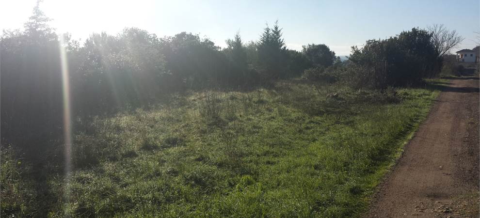 Foto annuncio