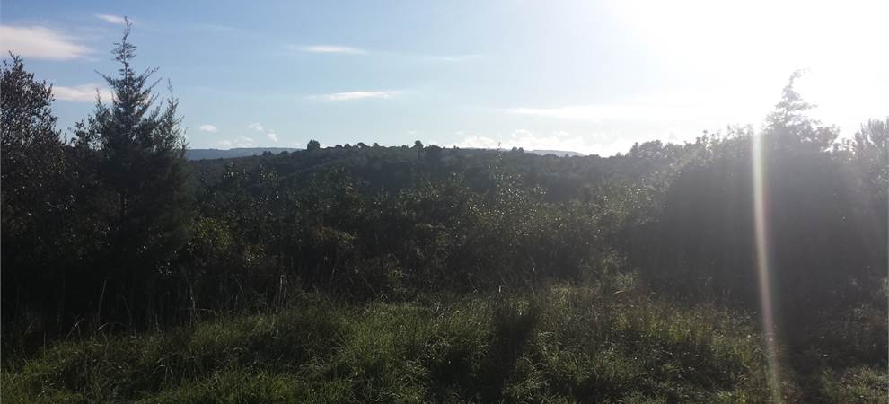 Foto annuncio