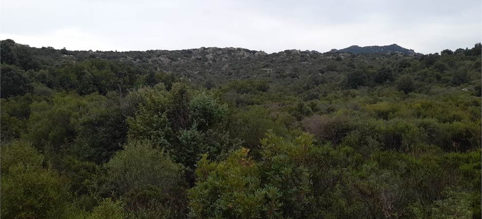 Foto annuncio