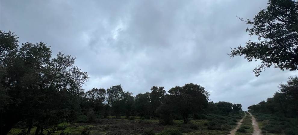 Foto annuncio