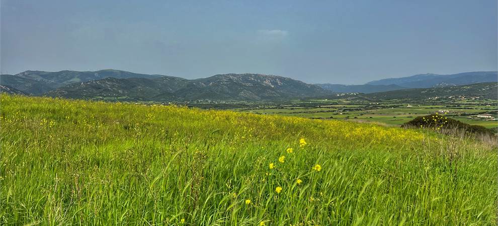 Foto annuncio