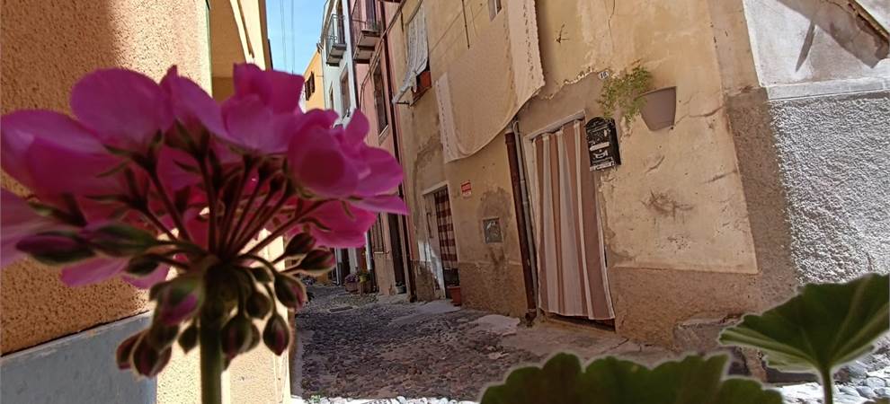 Foto annuncio