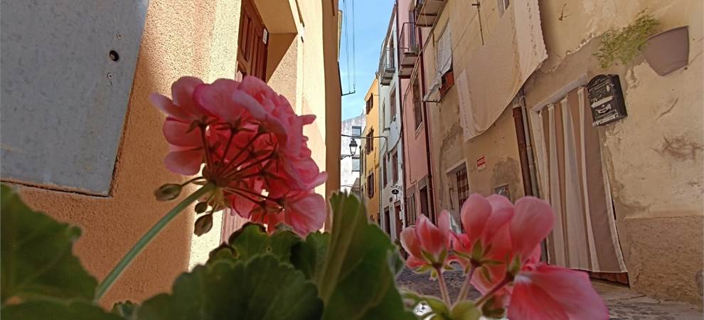 Foto annuncio